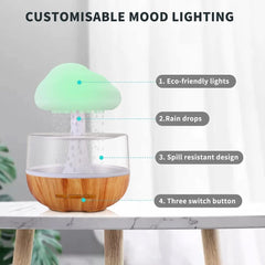 Rain Cloud Humidifier Water Drip- Mushroom Humidifier Waterfall Lamp (Diffuser)